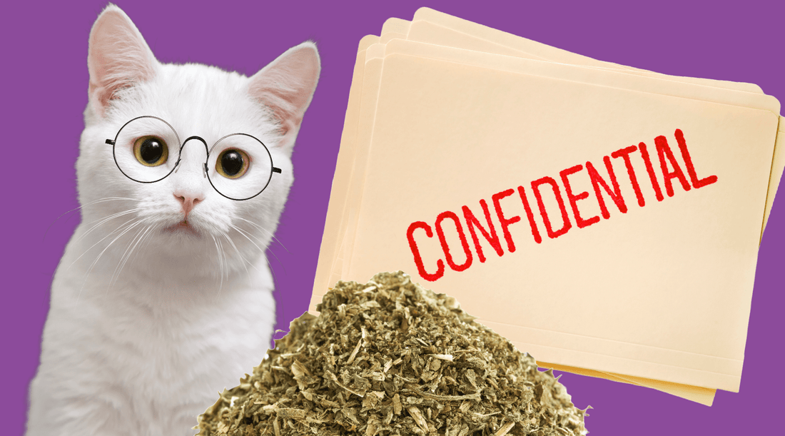 How Much Catnip is Too Much? Dr. Scratch Leaves the Catnip Task Force - Cat Crack Catnip